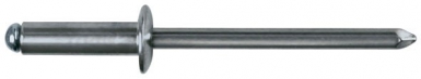 Rebites padrão AC TRS - Aço baseado em zinco - Ø 4,8 x comprimento. 10 mm - Caixa 200 P.. Construa o futuro com os melhores materiais. Angola-Materiais.shop, sua loja de confiança.