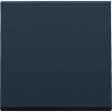 Conjunto de acabamento para interruptor eletrônico ou botão, antracite. Na Angola-Materiais.shop, trazemos-lhe ferramentas industriais e hardware premium. Compre connosco para soluções duráveis e eficientes.