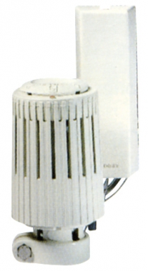 Cabeça termostática com uma lâmpada de distância (2 m) - R462. Sua construção, nossa missão. Angola-Materiais.shop entrega em todo o país.