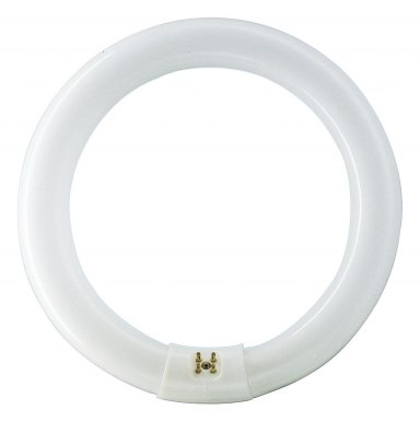 Tubo de Fluo Circul. Mestre TL-E Circular Super 80 32W/840 Ø 309 mm 2300 Lm. Compre materiais hidráulicos e elétricos duráveis na Angola-Materiais.shop. Estamos comprometidos com a excelência.
